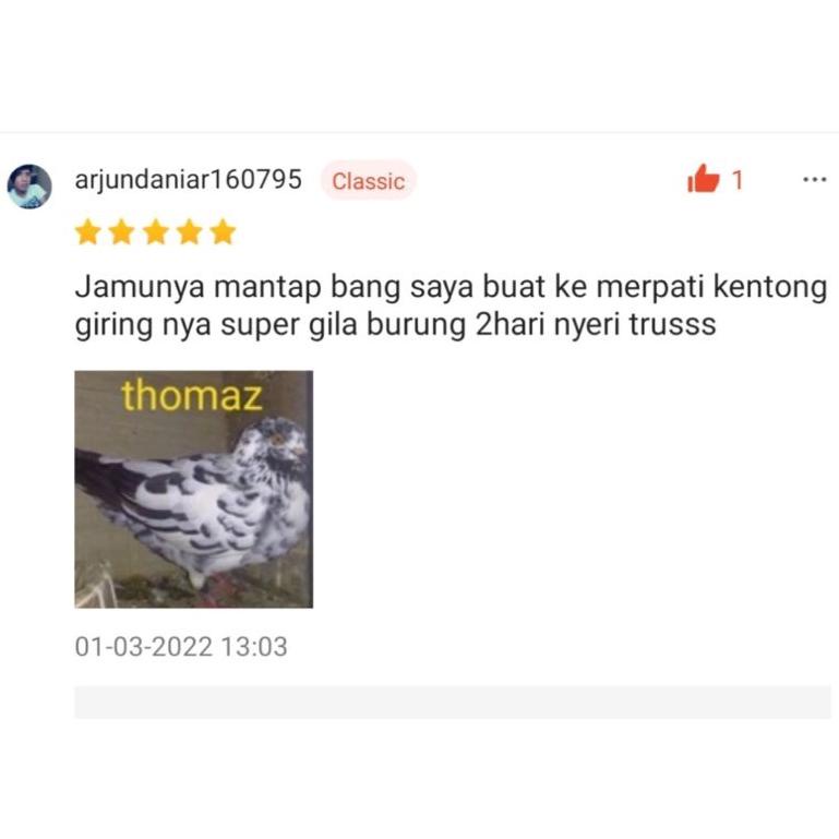 

(E-S4S») Super thor jamu merpati isi 120 butir terlaris top produk