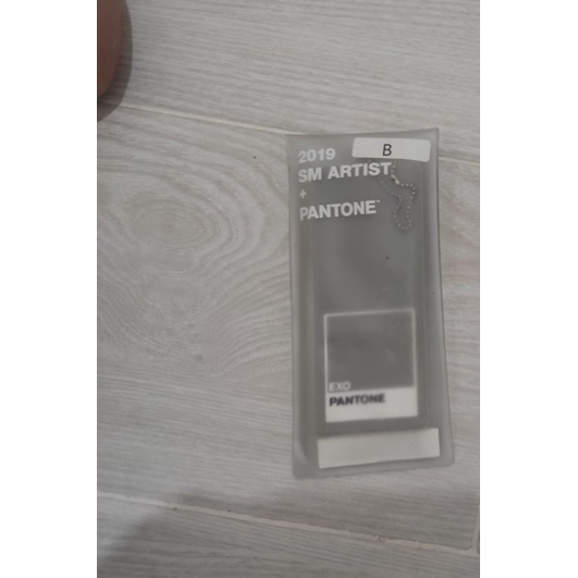 Exo pantone luggage tag official merch