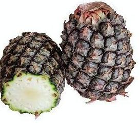 

『MPD』 HERBAL Fresh