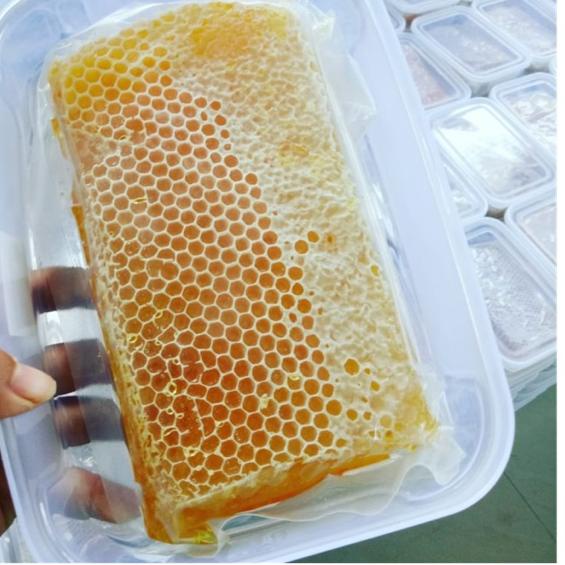 

ム MADU SARANG 500 gram HONEYCOMB ブ