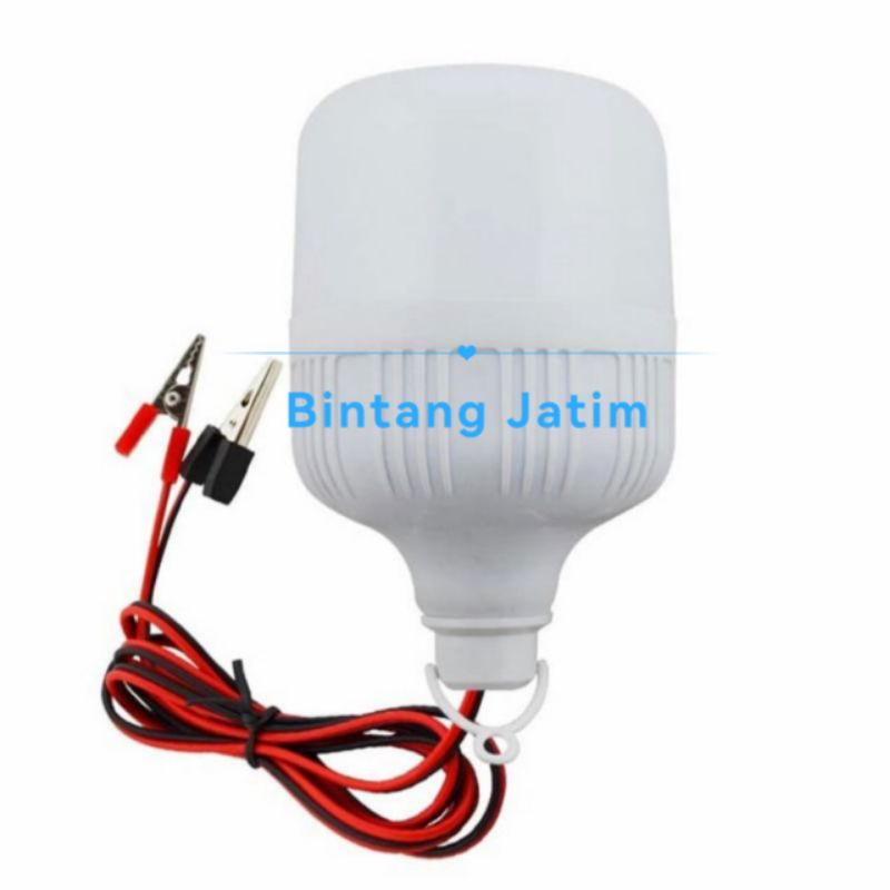 Lampu Bohlam Led Dc 12V Jepit Ke Aki Accu / Baterai  5W 10W 15W 20W 30W 40W