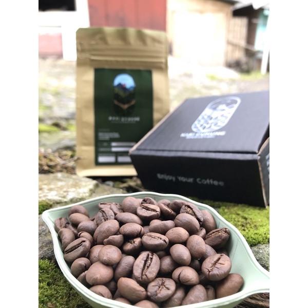 

Kakigunungkopi(robusta roastbean natural & dry process)