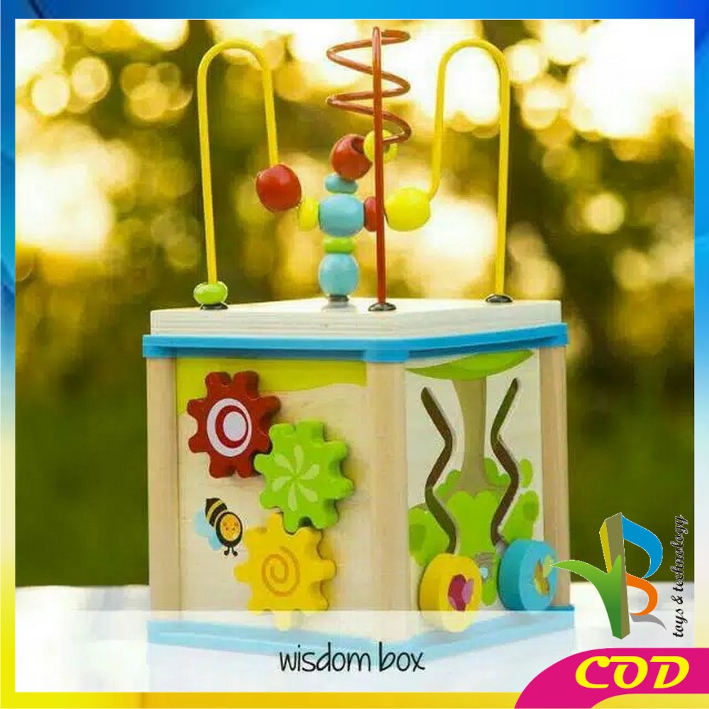 RB-M65 Mainan Edukasi Anak Puzzle Kayu Intelligence / Wisdom Box Busy Box Multifungsi Wooden Toys