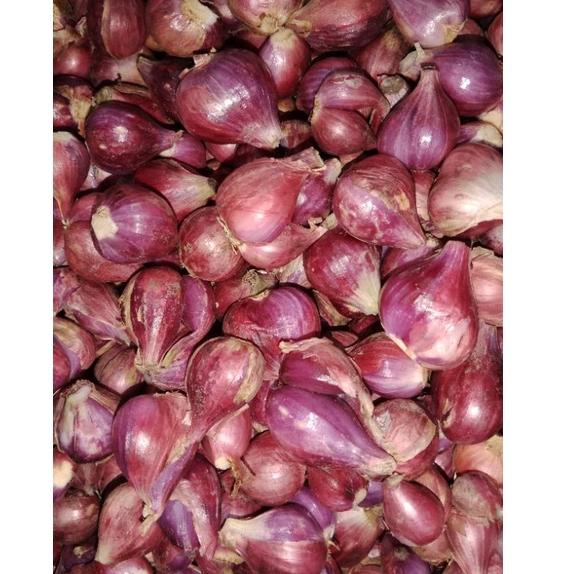 

[PRODUK DL6JF] BAWANG MERAH BREBES ASLI SUPER 1kg JSQ