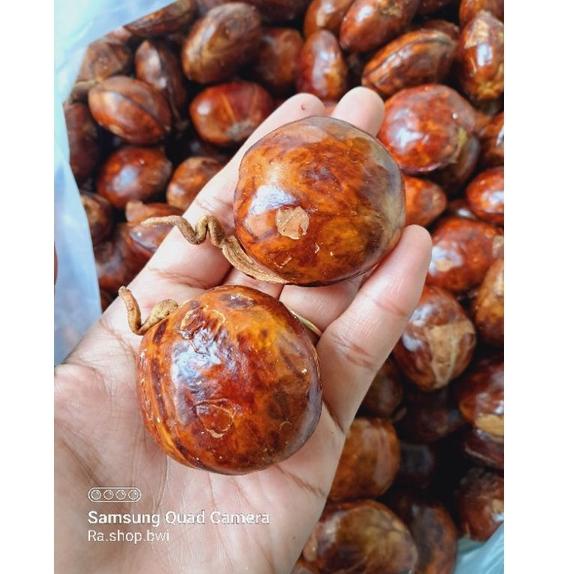 

R(6I☎) Jengkol Tua/jengkol punel berat 500gram proses cepat