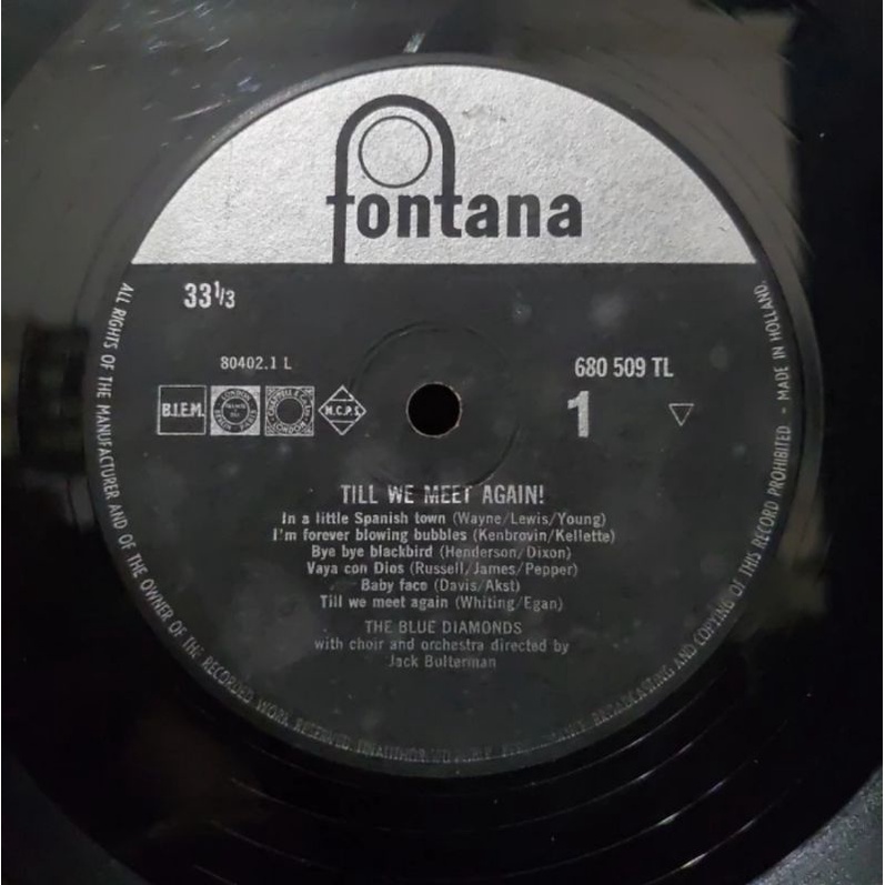 Vinyl Piringan Hitam 12&quot; Till We Meet Again