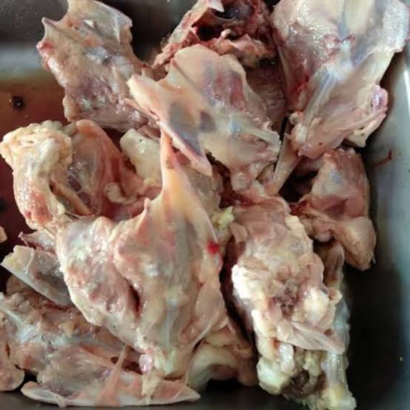 

tulangan ayam kerongkongan perekor