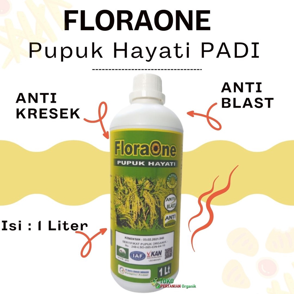 Pupuk Hayati padi rawa cair paling bagus, FLORAONE Fungisida untuk padi kurang air anti Hawar daun