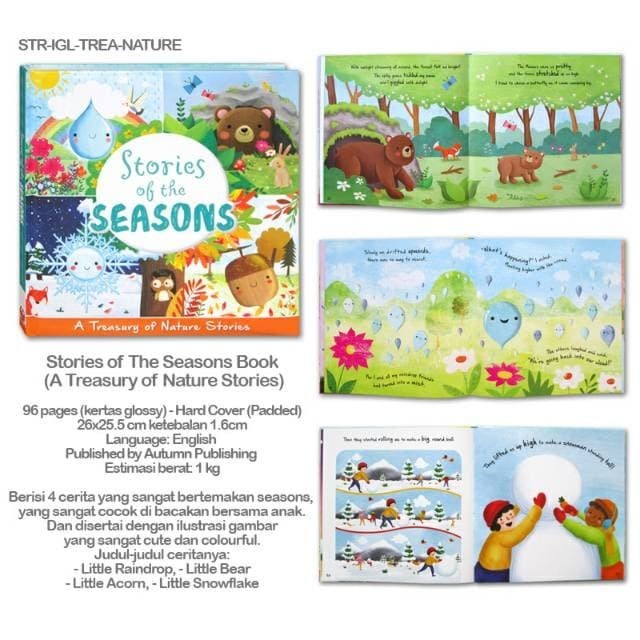 Stories Of The Seasons : Little Raindrop Acorn Bear Snowflake