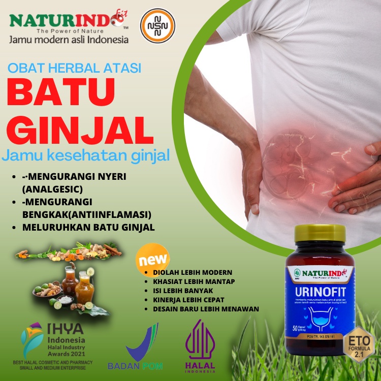 Obat Batu Ginjal Penghancur Batu Ginjal Obat Anyang Anyangen Susah Kencing Herbal Urinofit