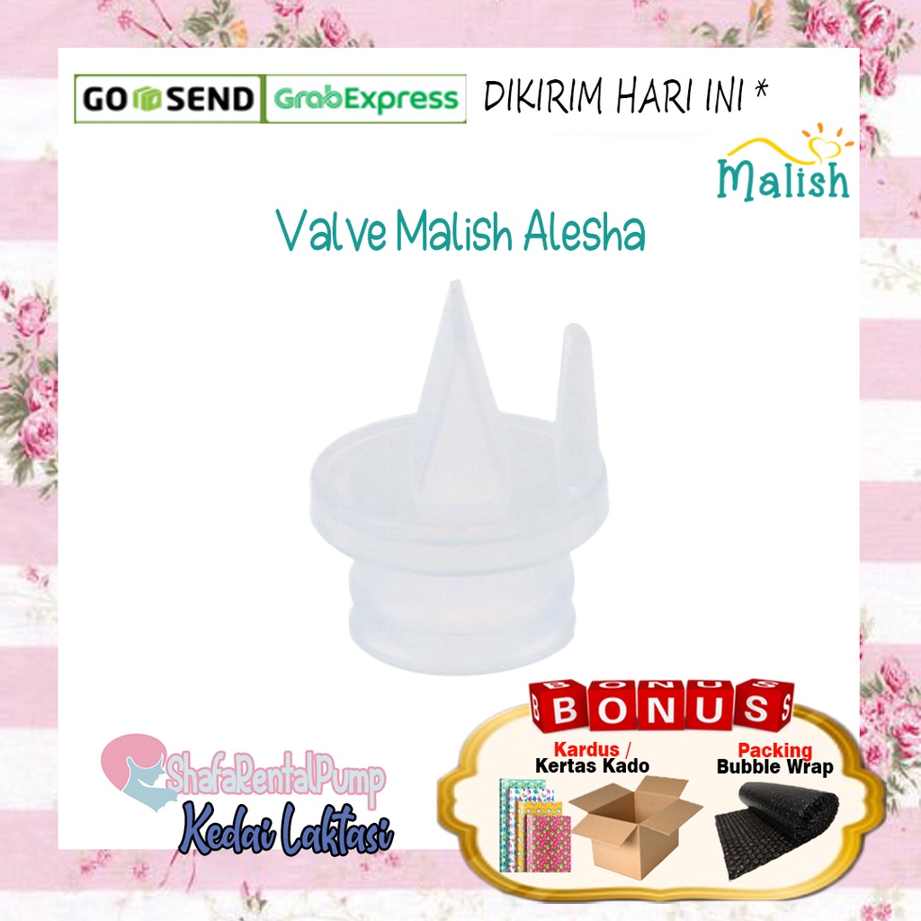 Valve Malish Alesha