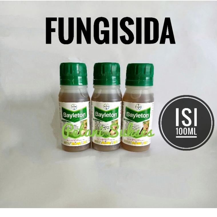 (Q-H9H-㊛) (100ml) FUNGISIDA BAYLETON 250EC kemasan 100ML BAYER pasti dikirim