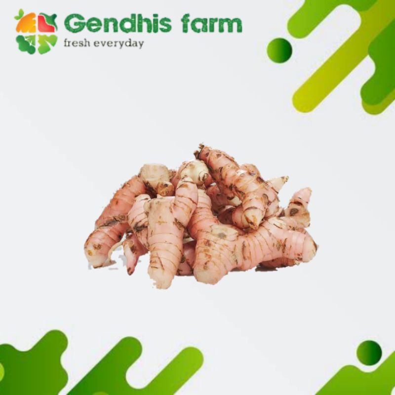 

Lengkuas / Laos Segar [100 g]
