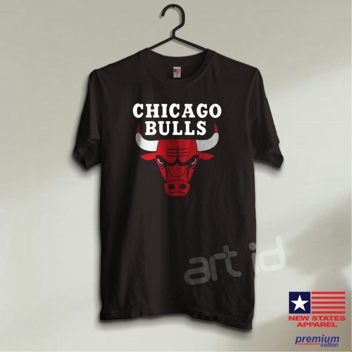 Bask Kaos Chicago Bulls Logo Original Nsa