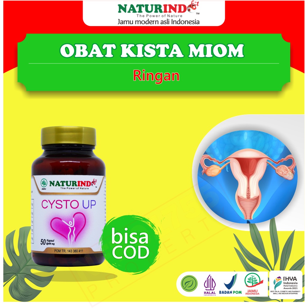 Jual Obat Herbal Kista Miom Tanpa Operasi Miom Kista Ovarium Bartholin