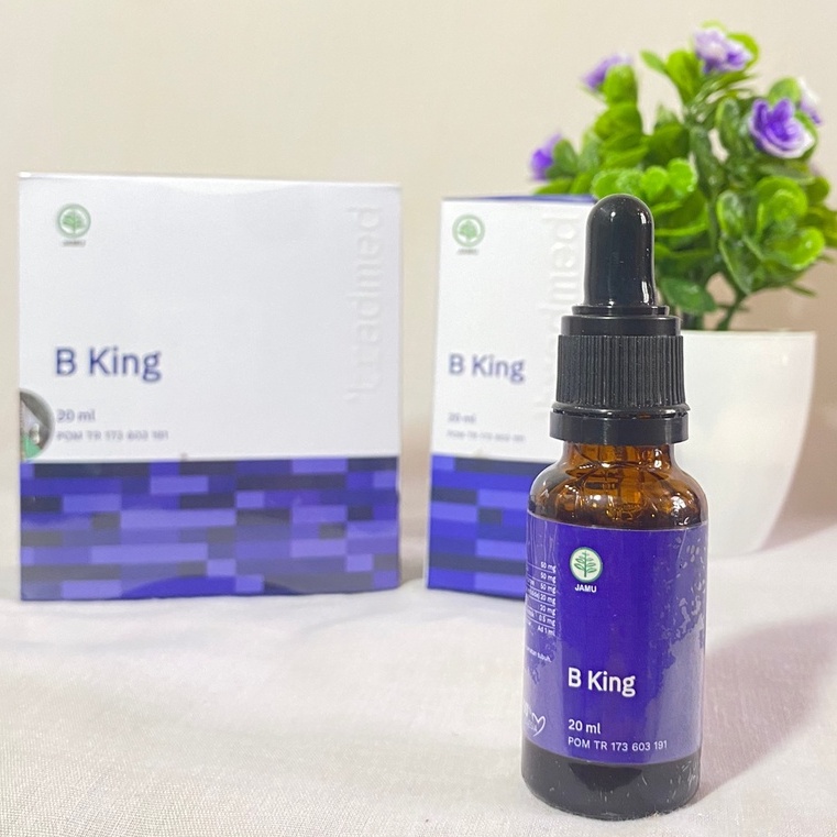 New Produk B King Nutrisi Untuk Otak Anak AutiS-Hiperaktif- Anak Telat Bicara Speech Delay - Anak AB