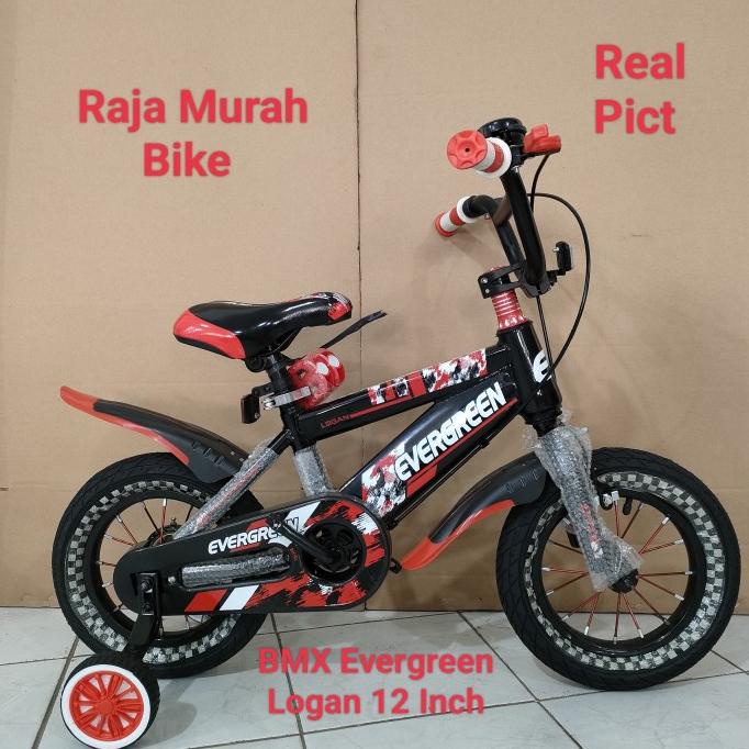 Sepeda Anak Bmx Evergreen Logan 12 Inch Sepeda Anak Laki Laki Bmx 12 #Original
