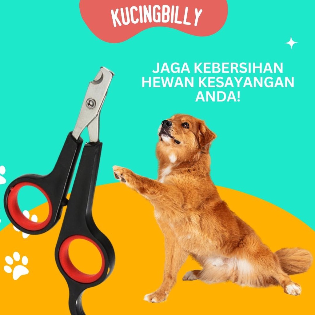 Gunting kuku kucing dan anjing