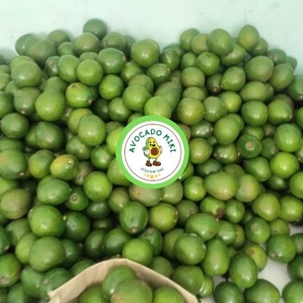 

Alpukat miki mentega Cipedak 2Kg Alpukat mentega 2 kg alpukat cipedak Original