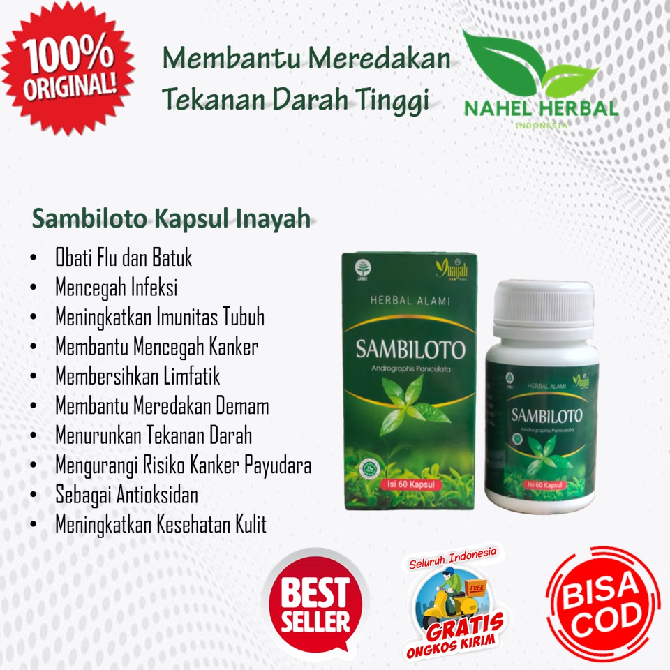 Obat Assalam Asam Urat Cina Dan Flu Tulang  Reumatik Alami - Sambiloto Kapsul Inayah  - Asam Urat Da