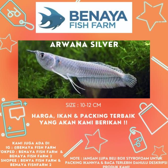 Terlaris Hiasan Aquarium Ikan Arwana Silver