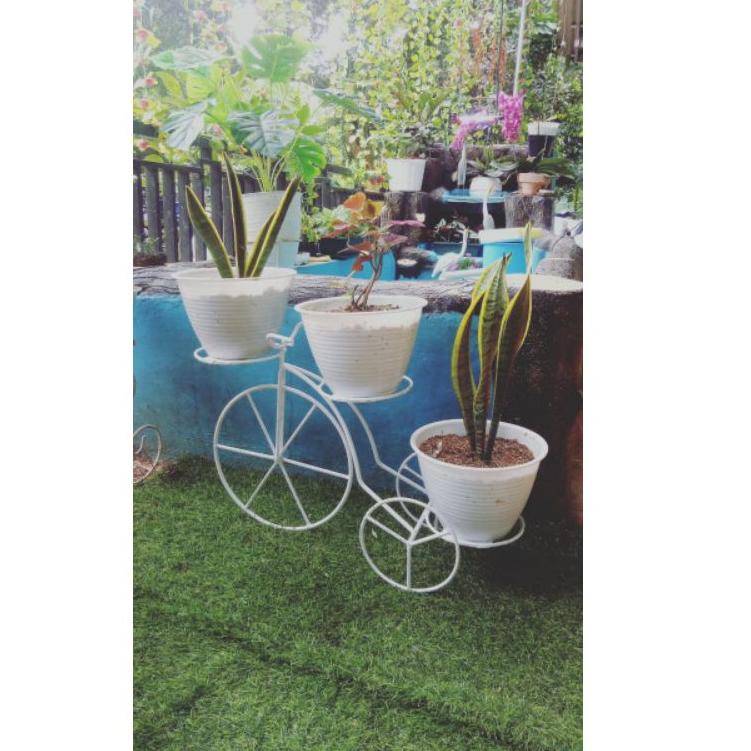 BARANG TERUPDATE rak bunga sepeda rak pot bunga rak pot besi ✦ 889