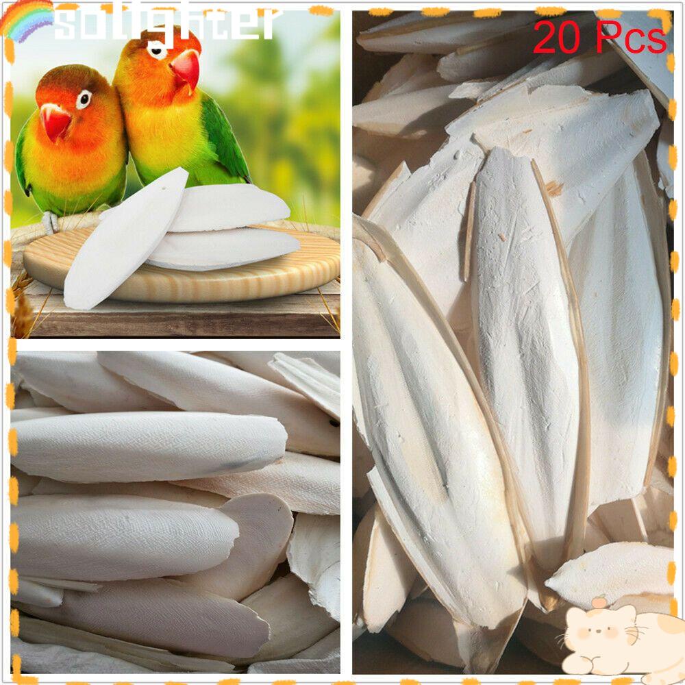 Solighter 20Pcs Cuttlefish Bone Snails Kalsium Kunyah Burung Cuttlebone