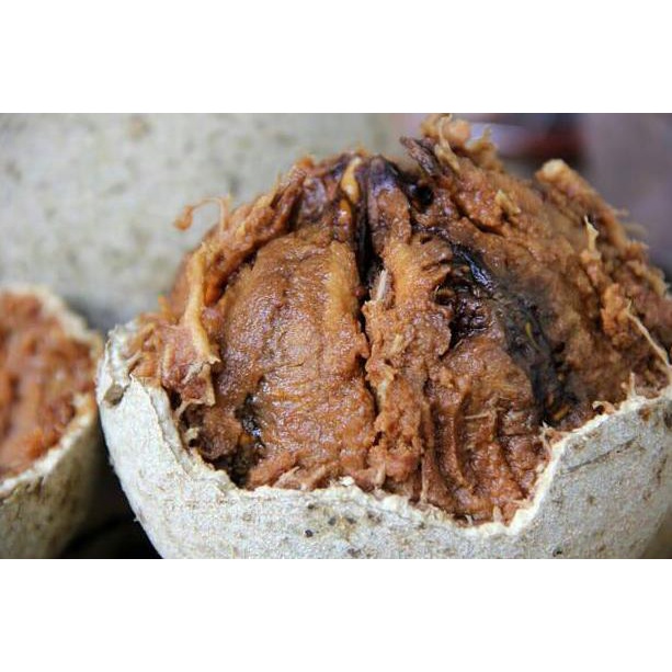 

[U-V1V][㊚] Buah Kawista | Kawis Lasem Rembang | ±1kg | READY STOCK trending