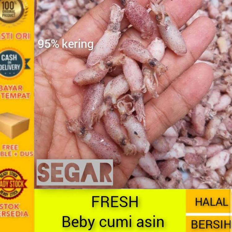 

[PRODUK GZLEW] Cumi beby 0,5cm - 2cm / Baby cumi asin 1kg/ Bahan sambal cumi EMD