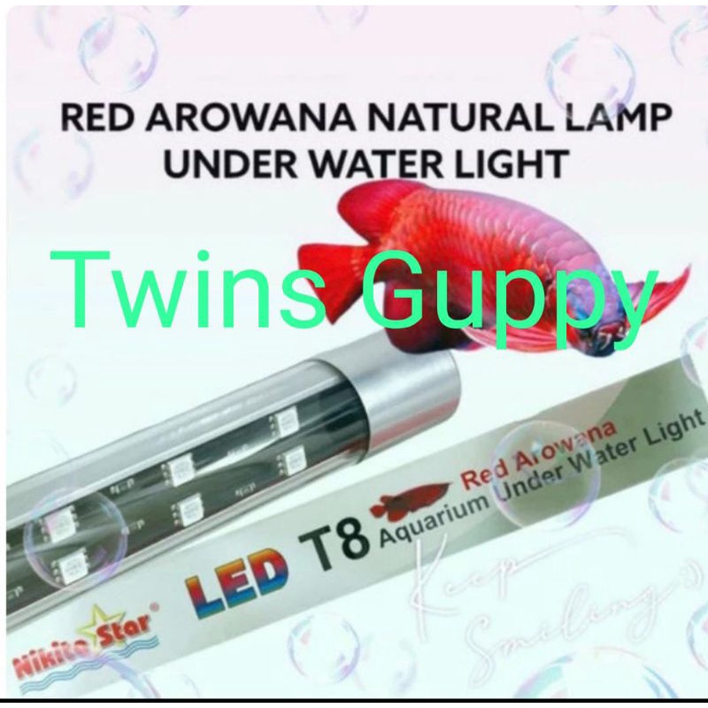 Lampu tanning arowana Nikita Star T8 800-1800