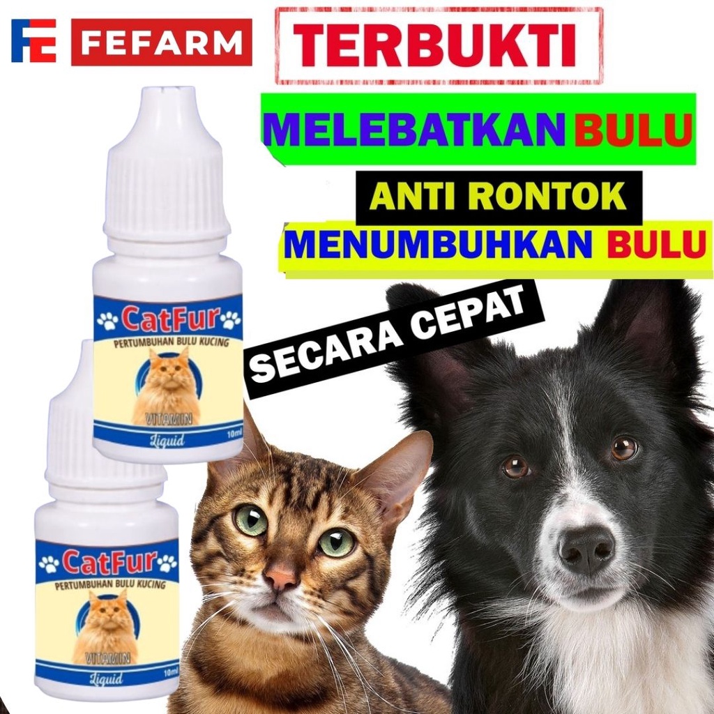Penambah Bulu Lebat Kucing Anti Rontok  CATFUR FEFARM