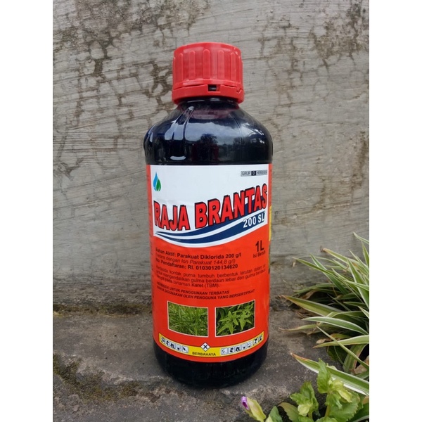Herbisida Kontak Raja Brantas 200 SL