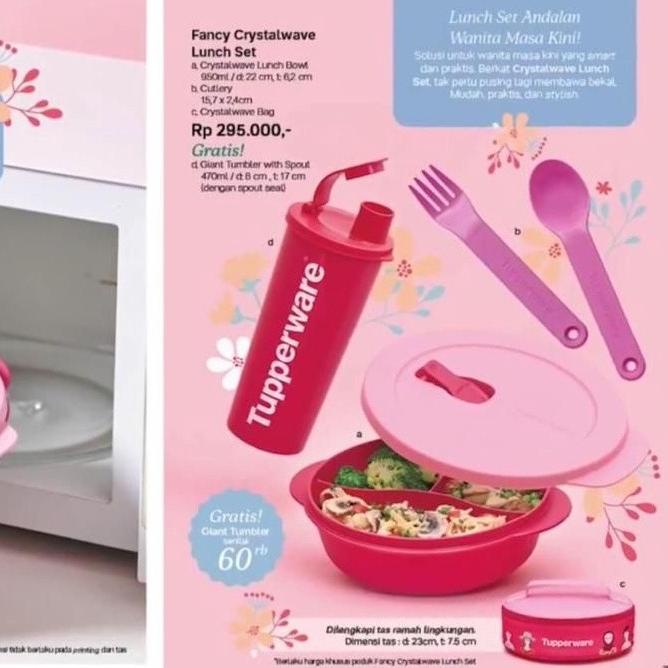 Tupperware Fancy Crystalwave Lunch Set free Tumbler