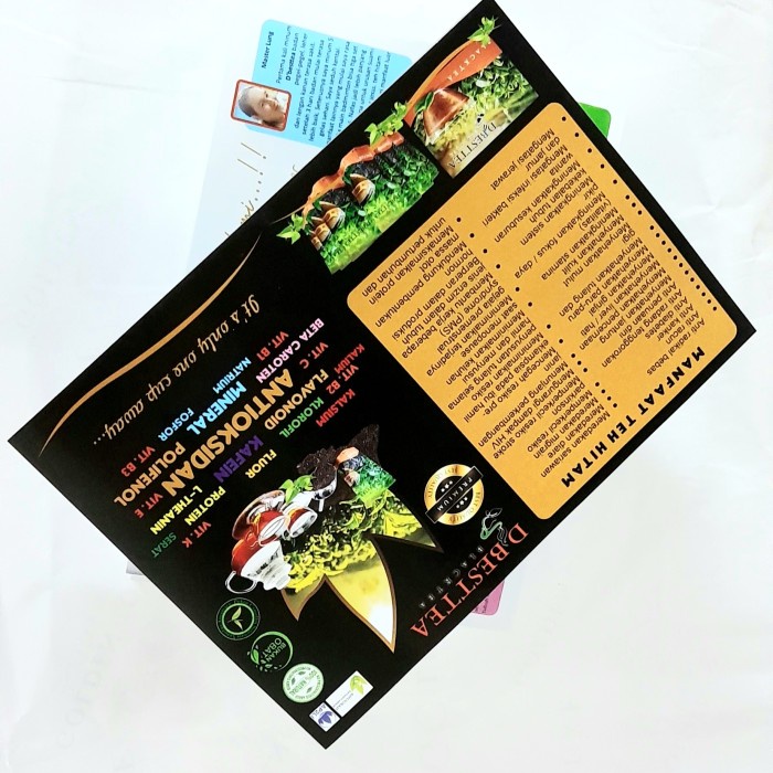 

CETAK BROSUR FLYER A4 (21X29.7CM) FULL COLOR 1 SISI 1 RIM