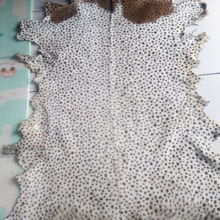 KULIT HARIMAU LORENG LEOPARD TUTUL CHITAH LEMBARAN DARI KAMBING REPLIKA KULIT MACAN