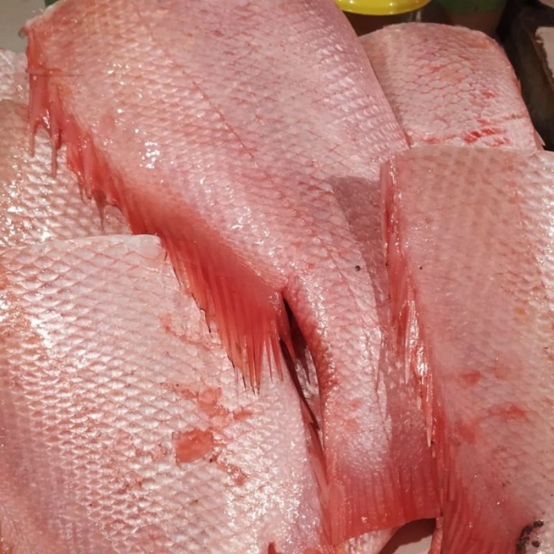 

Grosir Badan Ikan Kakap +- 500 gr