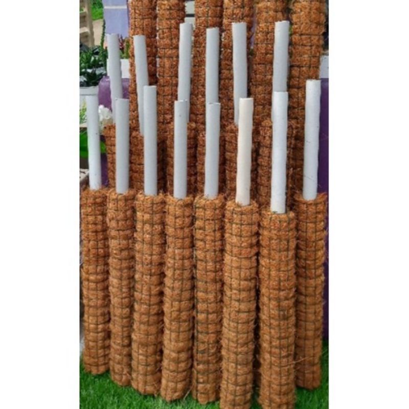 ajir turus penyangga tanaman hias janda bolong / sabut kelapa cocofiber / penahan tanaman rambat / p