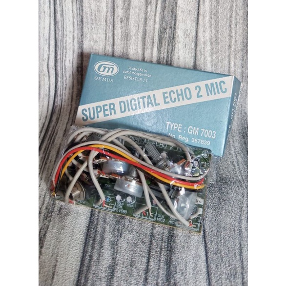 Super Digital Echo 2 Mic GM7003