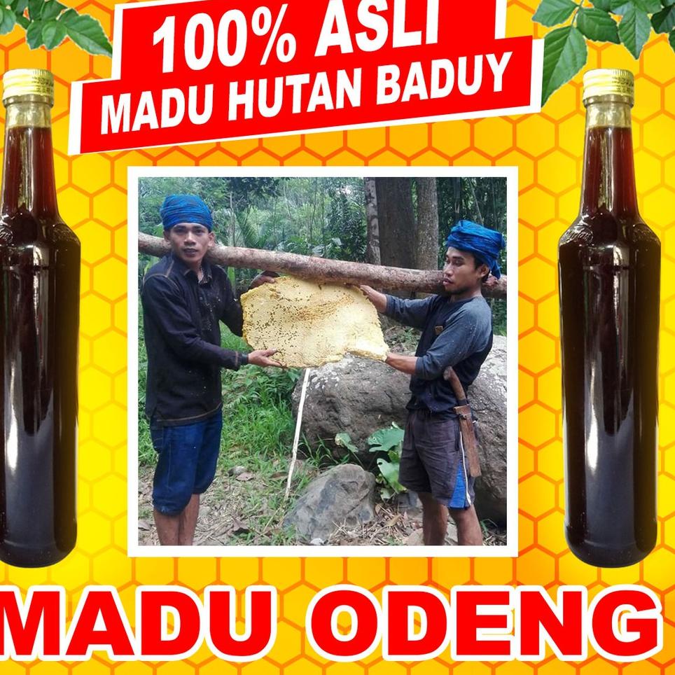 

fgi35 Madu Odeng Asli Hutan - Madu Manis Murni 100% ASLI ,.,.,.,,
