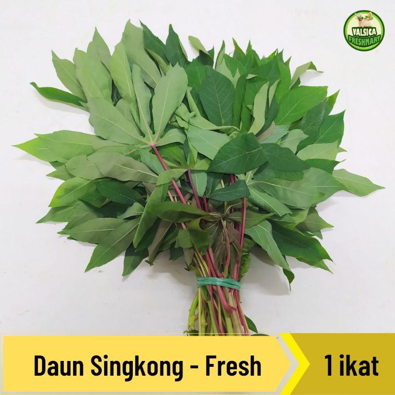 

Daun Singkong Segar - 1 ikat