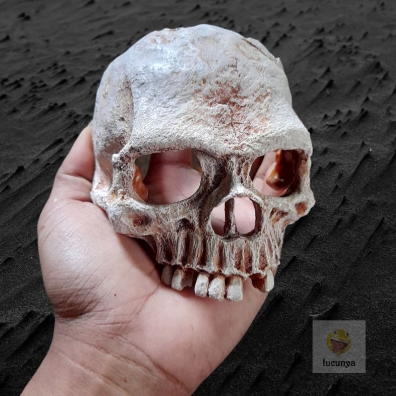 hiasan aquarium dekorasi aksesoris miniatur tengkorak kuburan  hantu horor skull patung  pajangan un