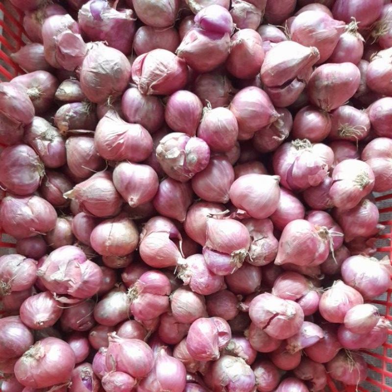 

bawangnmerah