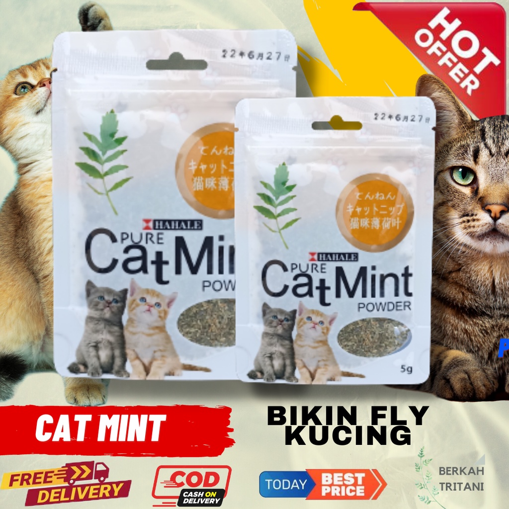 Jual Catmint Cat Mint Catnip PURE CATMINT POWDER BIKIN FLY KUCING