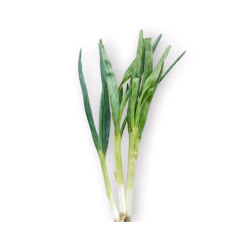 

daun bawang