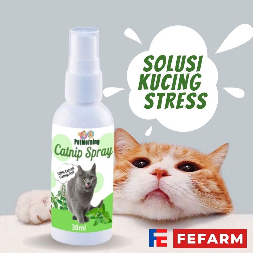 Anti Setress Kucing Catnip Cat Spray Semprot Cair Natural alami Toys Kucing 30ml FEFARM