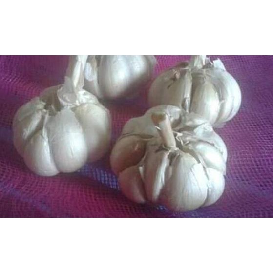 

ㅹ Bawang putih sinco bersihan 1 kg ゾ