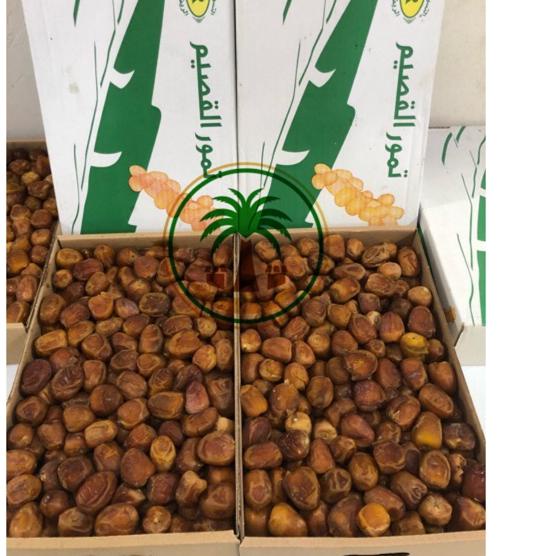 

TREND KEKINIAN Kurma Sukari FRESH!! 3kg / Sukary AlQasim / Kurma Raja , Kurma Ruthab Rutob € 860