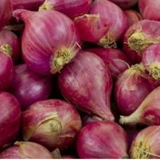 

limited STOCK!Bawang Merah Organik 300g / Red Onion / Shallot 300g|KD8