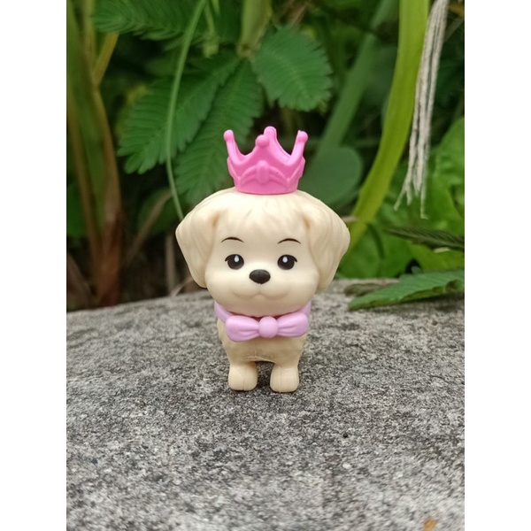 miniatur pet dog original pict2