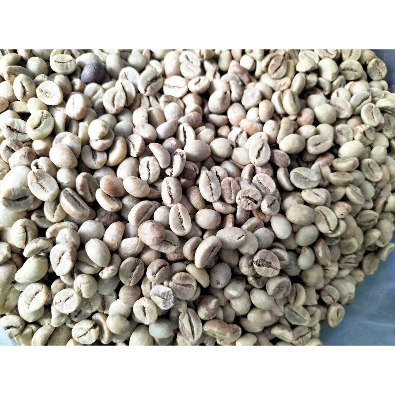 COD biji kopi green bean robusta asli dampit grade 1